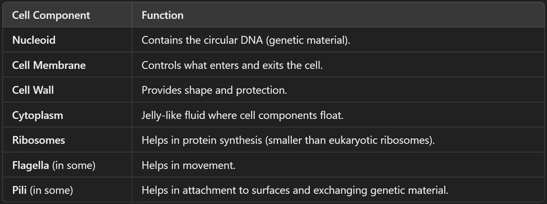 Structure of Prokaryotic Cells